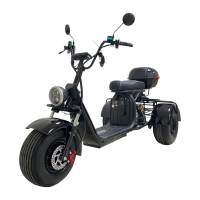 Электроскутер CITYCOCO X7 Pro TRIKE Черный глянец
