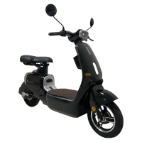 Электроскутер Skyboard Yalta 1200W Black (Чёрный)